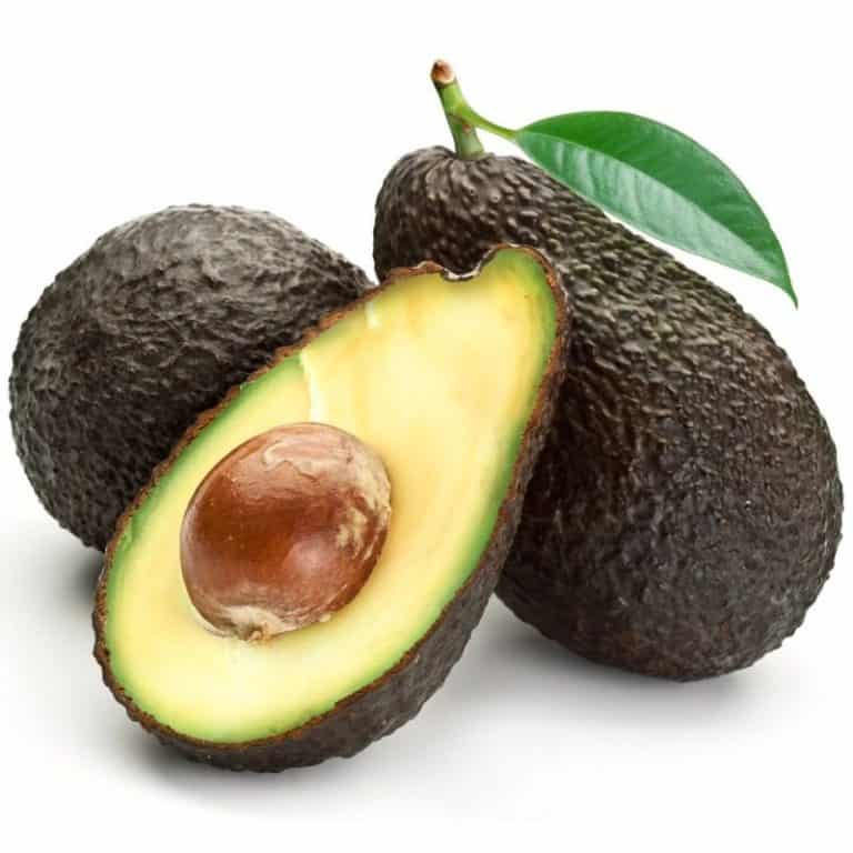 Can You Grow Avocado Trees in Arizona? (Plus Best Varieties)