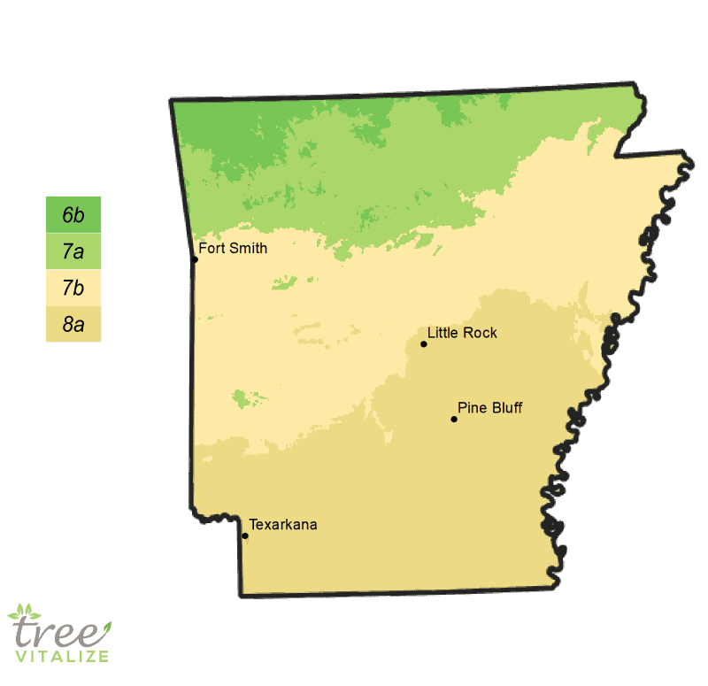 Planting Zones Arkansas Hardiness Gardening Climate Zone