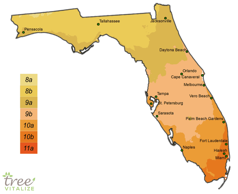 Growing Zones In Florida Map United States Map