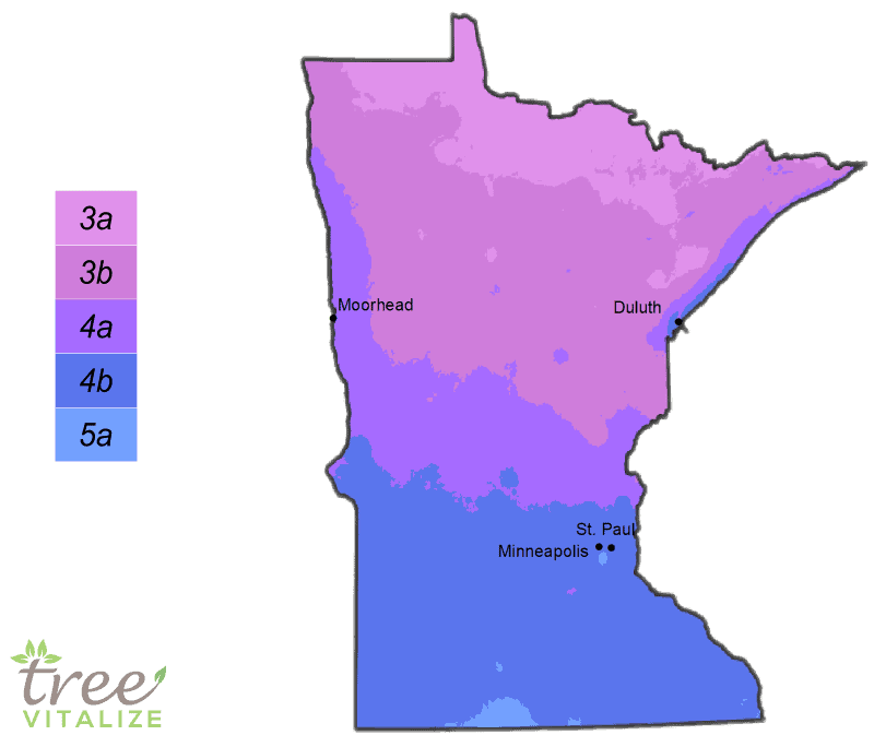 Minnesota Plant Hardiness Zone Map 