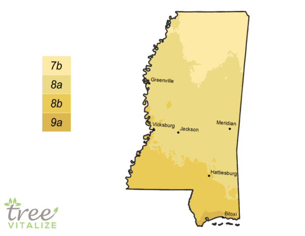 Planting Zones Mississippi - Hardiness, Gardening & Climate Zone