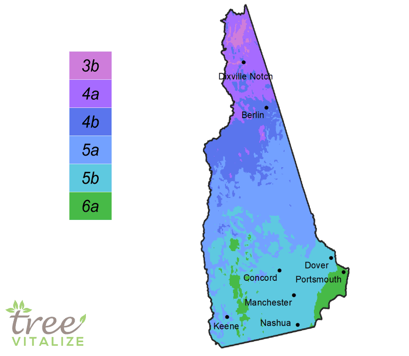 Nh Foliage Map 2025 - Brenn Clarice