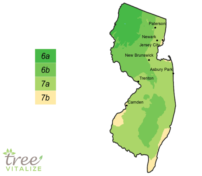 Planting Zones New Jersey Hardiness, Gardening & Climate Zone