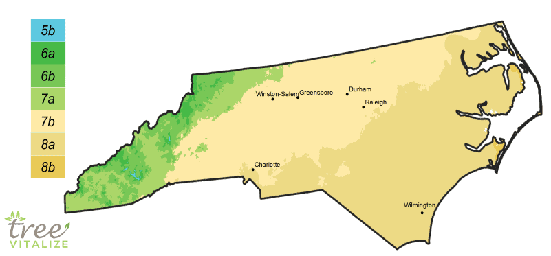 Alternativn Energie Chumelenice Plant Hardiness Zone Map Klam n N jak 