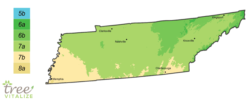 Tennessee Plant Hardiness Zone Map 