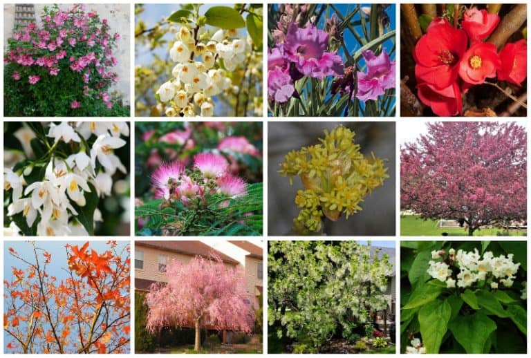 Planting Zones Illinois Hardiness, Gardening & Climate Zone