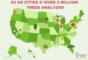 Tree Distribution Us Common Tree Species, Planting Initiatives, and Diversity: An Analysis ...
