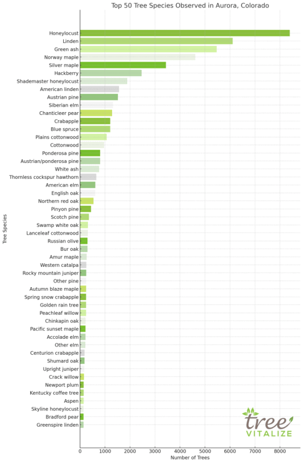 Common Tree Species, Planting Initiatives, and Diversity: An Analysis of Over 5 Million Urban ...