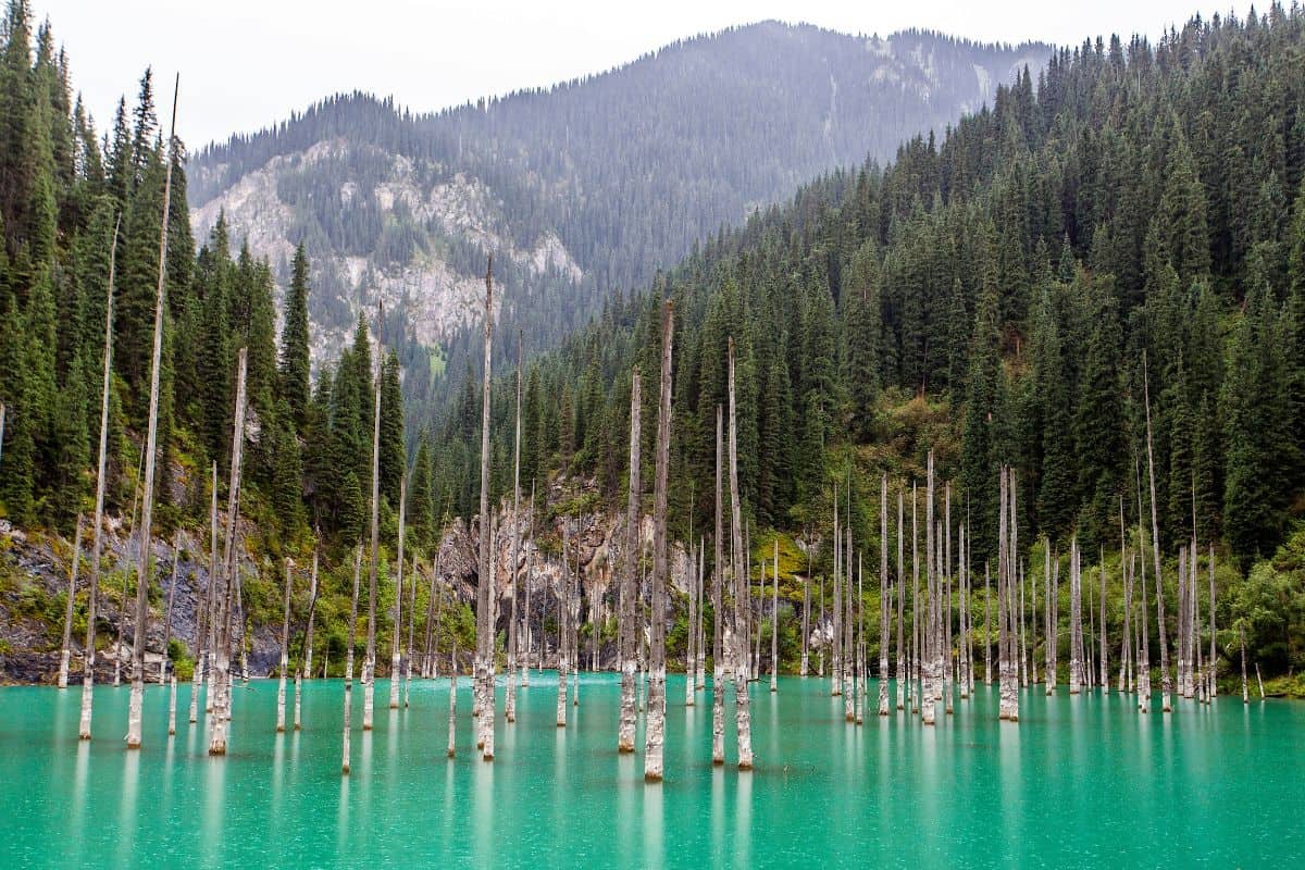 The Ghostly Sunken Forest Of Lake Kaindy Kazakhstan The Ghostly Sunken Forest Of Lake Kaindy Kazakhstan