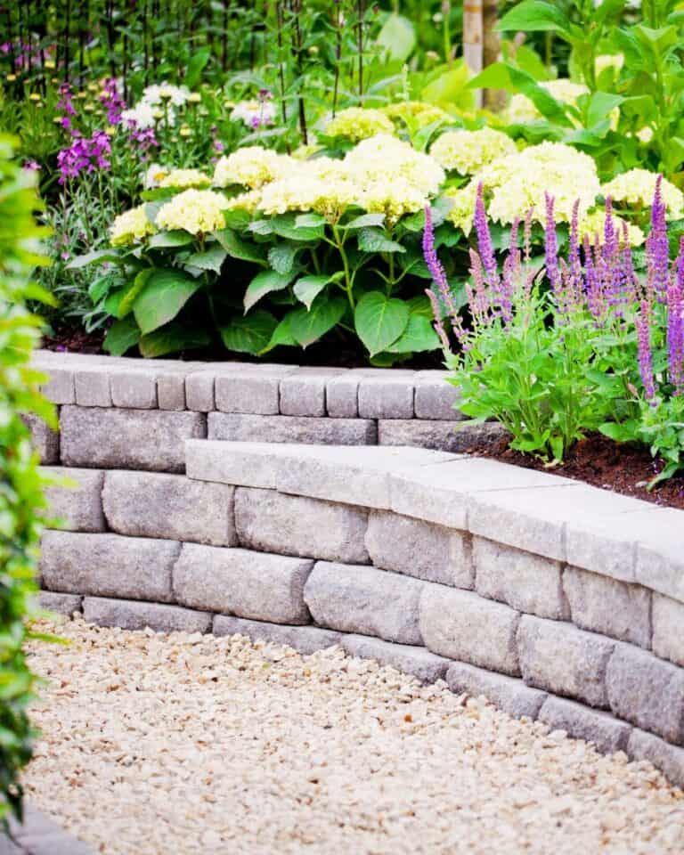 54 Perennial Shrubs & Bushes to Keep Your Garden Gorgeous All Year Round