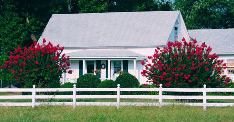 13 Most Eye-Catching Trees For Fall Foliage (Simply Stunning)